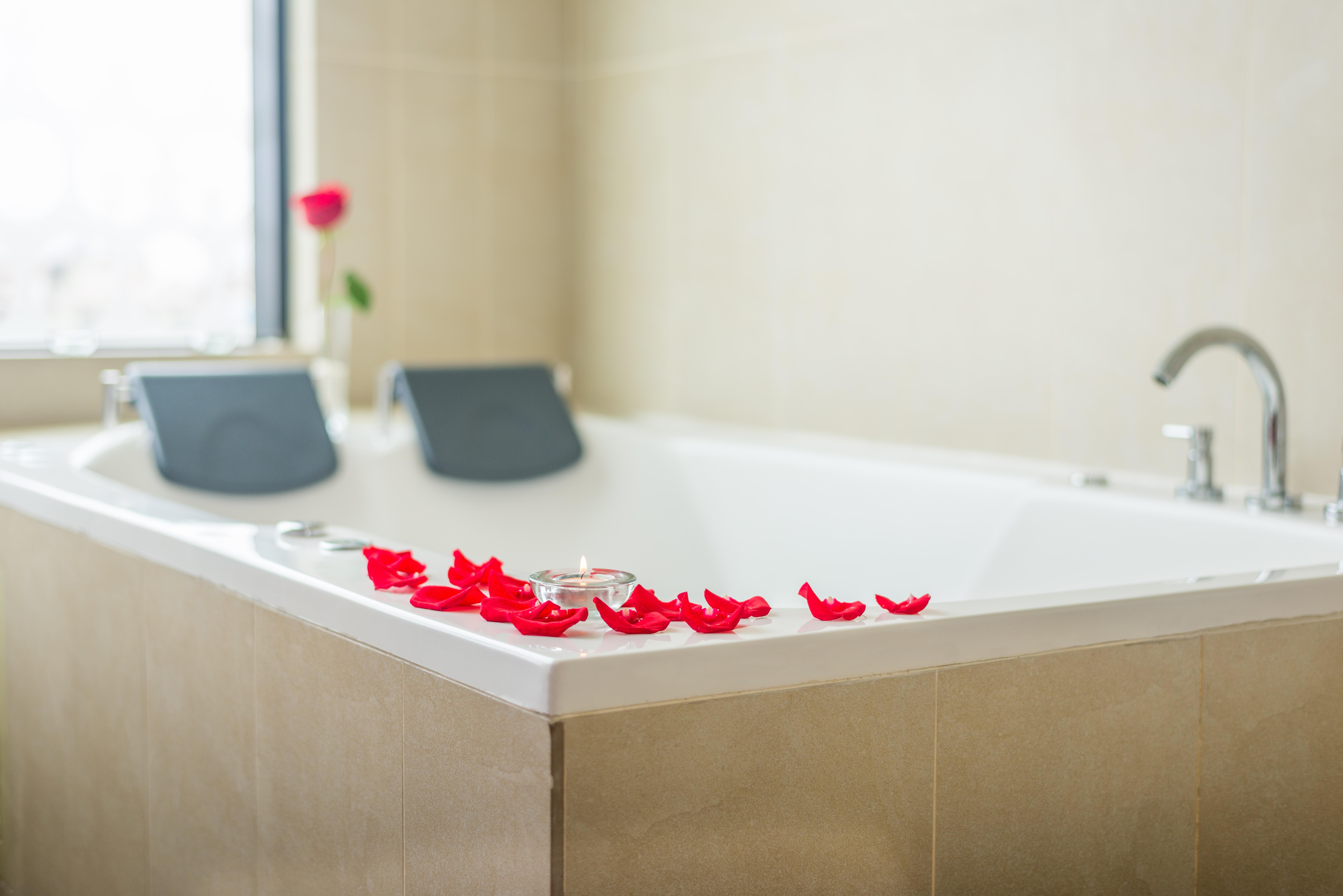 Hotel Palmetto Hotel Business La Perla 3*