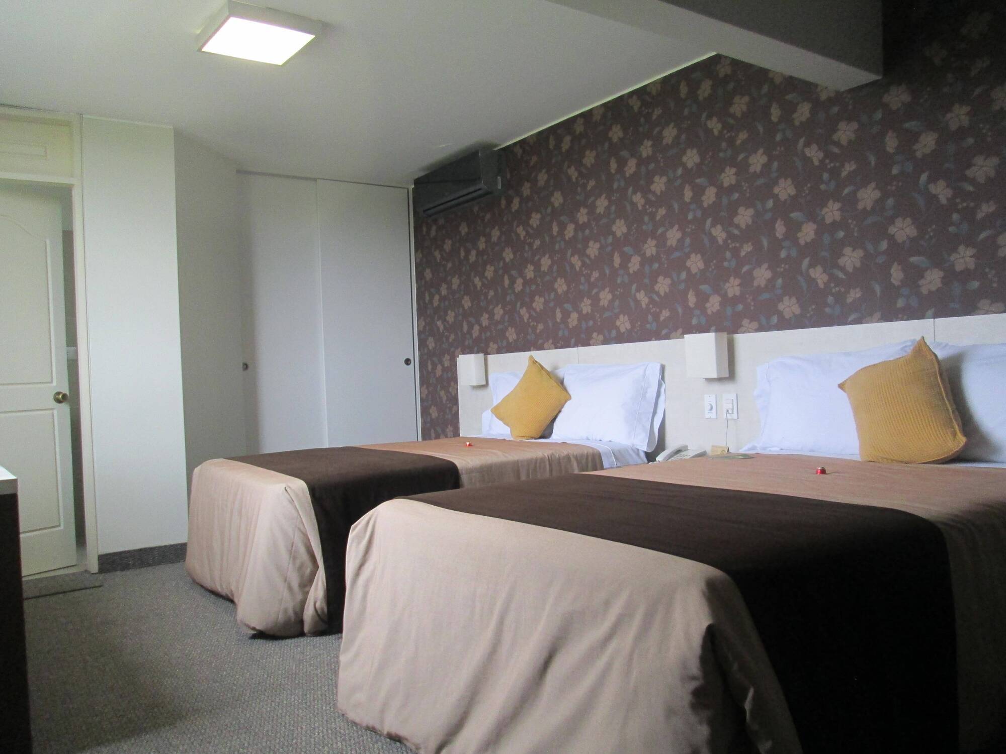 Hotel Palmetto Hotel Business La Perla